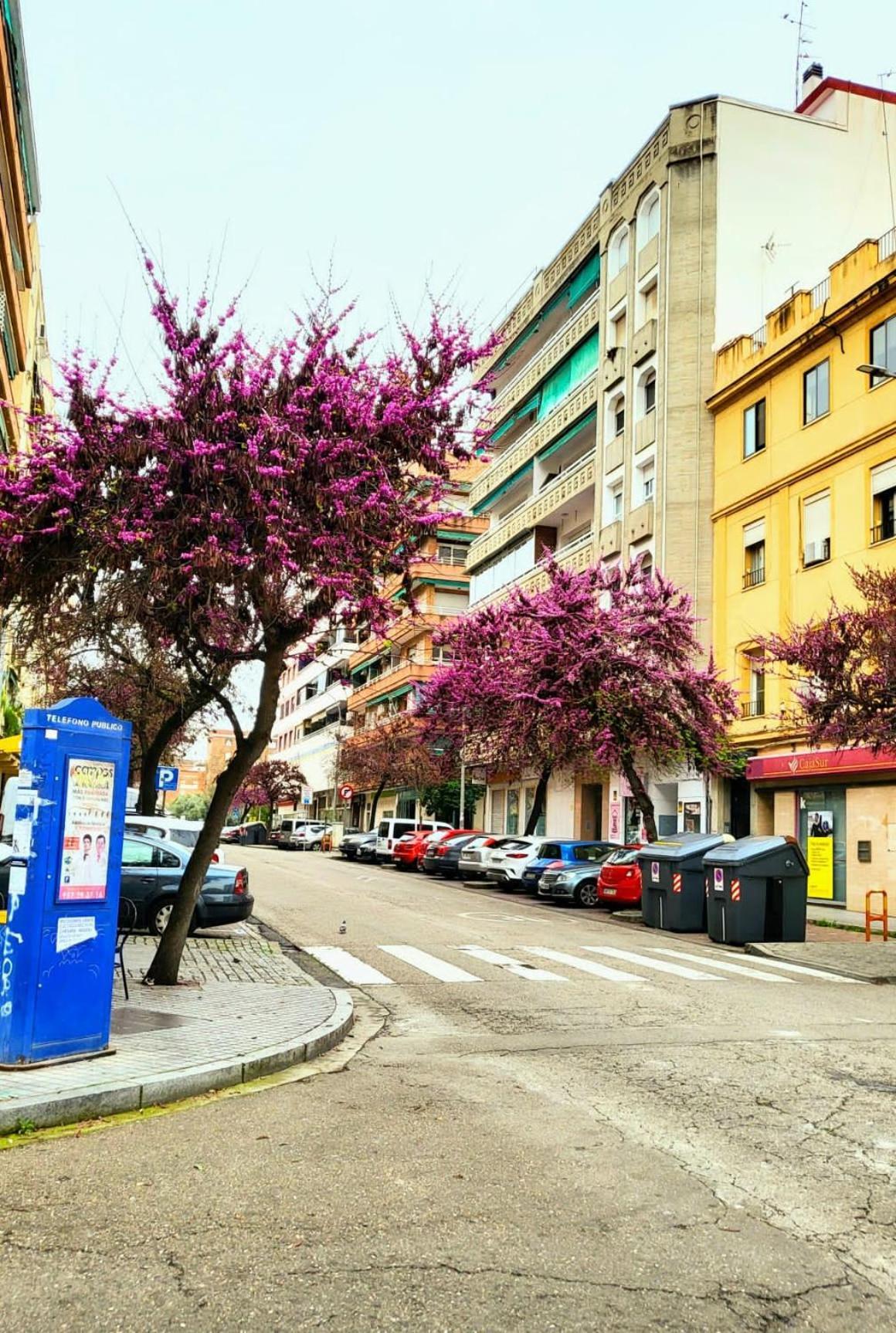 Vintage Apartment Cordoba Exterior photo